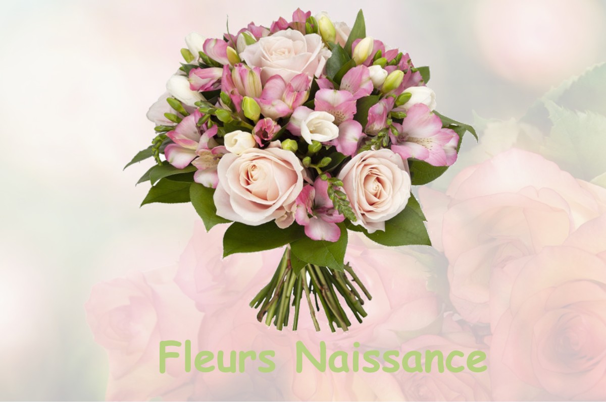 fleurs naissance RION-DES-LANDES