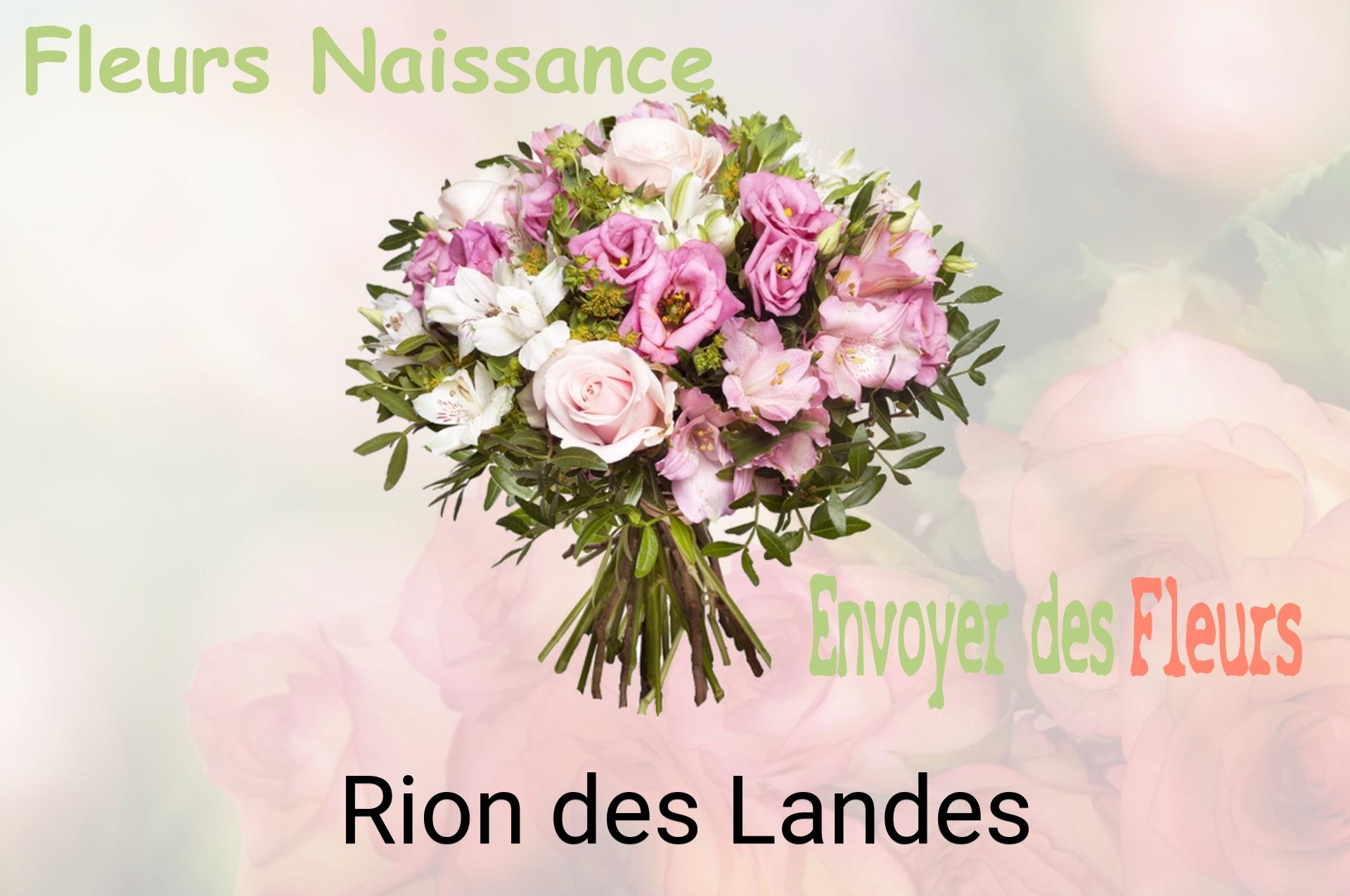 Bouquet de fleurs de naissance livré à Rion-des-Landes