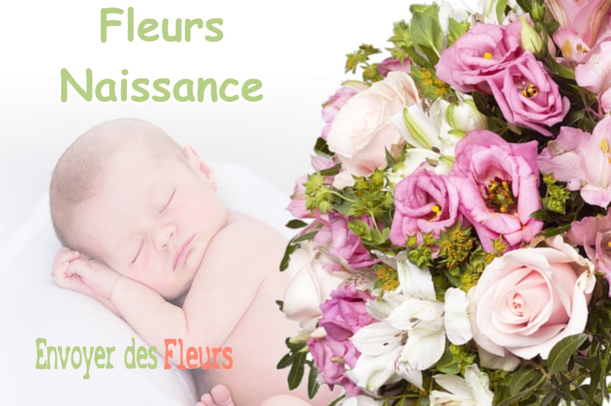 lIVRAISON FLEURS NAISSANCE à RION-DES-LANDES