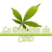 LA BOUTIQUE DU CBD RION-DES-LANDES 