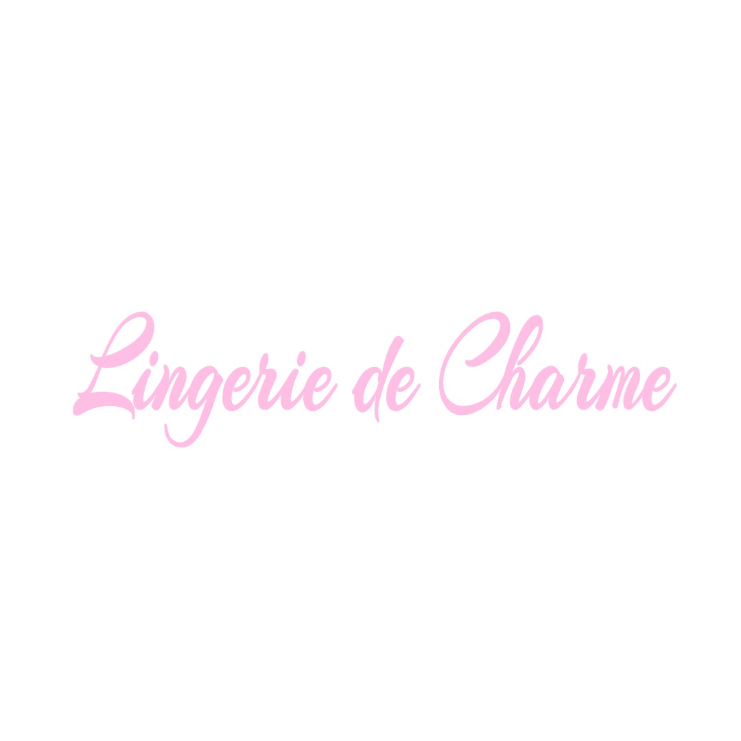 LINGERIE DE CHARME RION-DES-LANDES